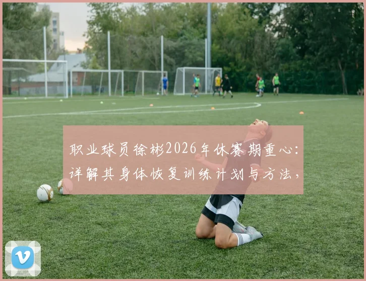 职业球员徐彬2026年休赛期重心:详解其身体恢复训练计划与方法,附运动员状态调整指南