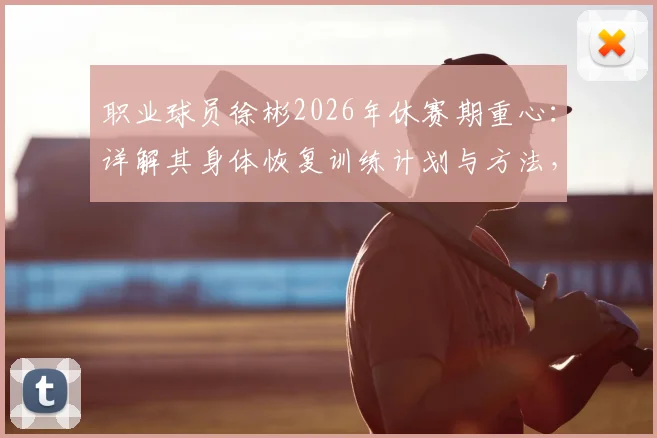 职业球员徐彬2026年休赛期重心：详解其身体恢复训练计划与方法，附运动员状态调整指南