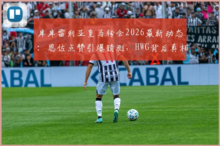 库库雷利亚皇马转会2026最新动态：恩佐点赞引爆猜测，HWG背后真相解析